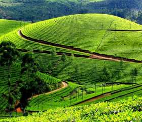 Du lịch Đông Bắc